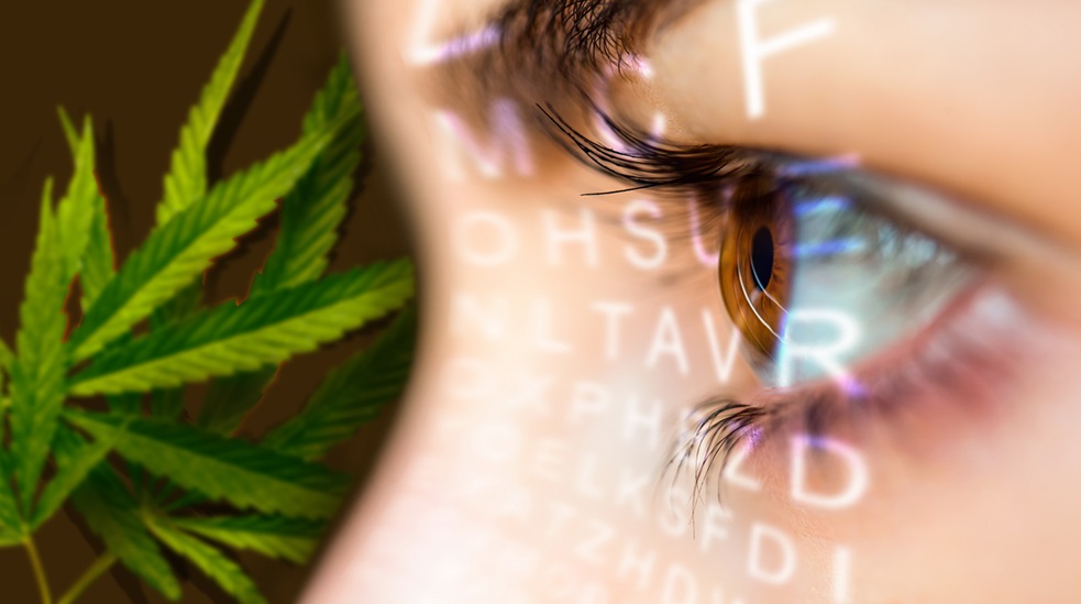 влияет ли марихуана на зрение